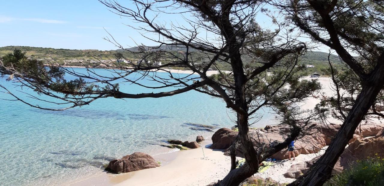 Un Angolo Di Paradiso A Pochi Passi Dal Mare Nel Villaggio Calarossa Isola Rossa Eksteriør bilde